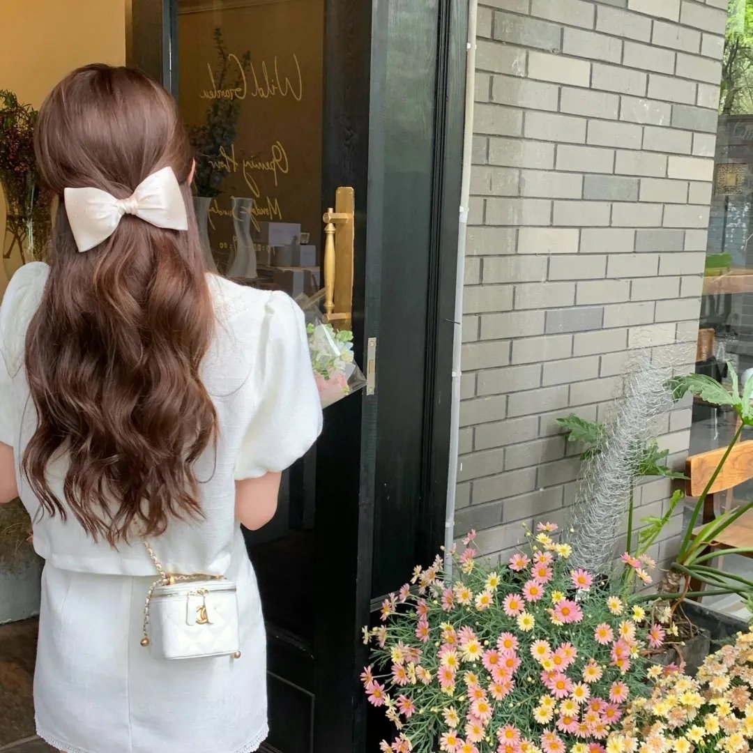 光荣之路上的狗